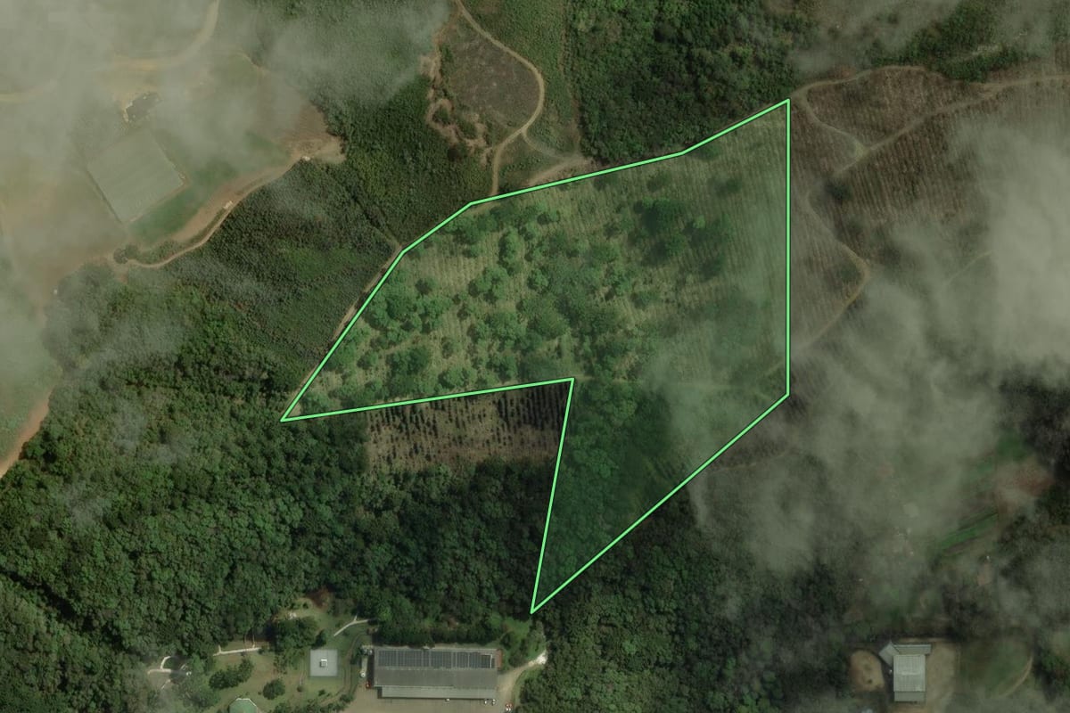 Imagem de satélite do imóvel rural em Bocaiúva do Sul (PR), com o contorno declarado no CAR desenhado por cima.