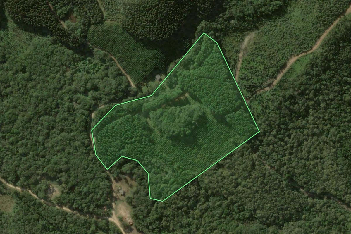 Imagem de satélite do imóvel rural em Bocaiúva do Sul (PR), com o contorno declarado no CAR desenhado por cima.