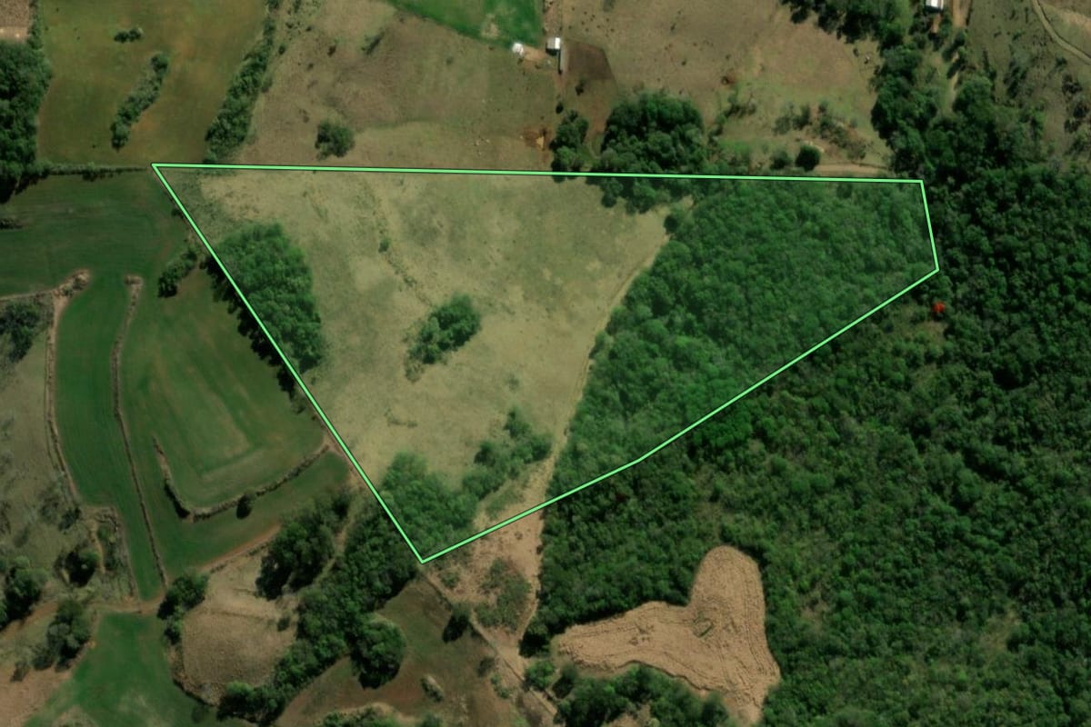 Imagem de satélite do imóvel rural em Bom Jesus do Sul (PR), com o contorno declarado no CAR desenhado por cima.