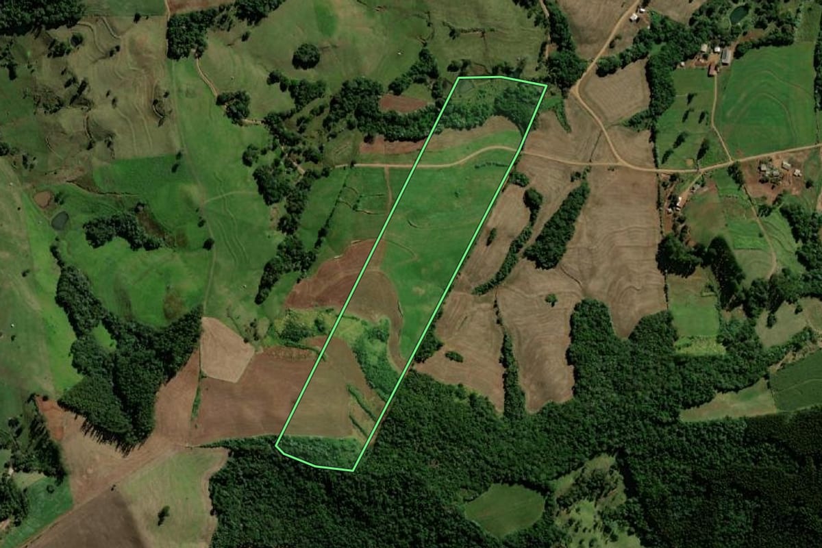 Imagem de satélite do imóvel rural em Bom Jesus do Sul (PR), com o contorno declarado no CAR desenhado por cima.