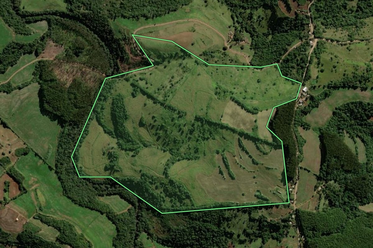 Imagem de satélite do imóvel rural em Bom Jesus do Sul (PR), com o contorno declarado no CAR desenhado por cima.
