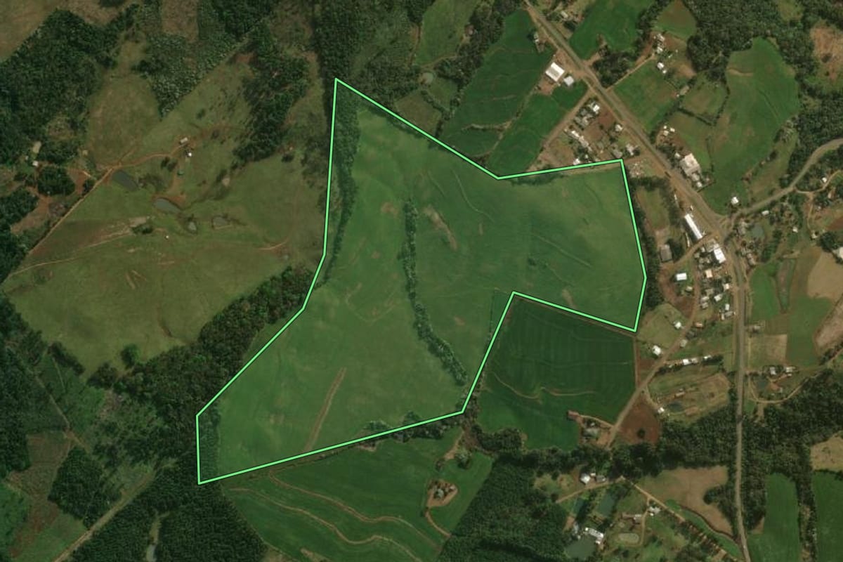 Imagem de satélite do imóvel rural em Bom Jesus do Sul (PR), com o contorno declarado no CAR desenhado por cima.