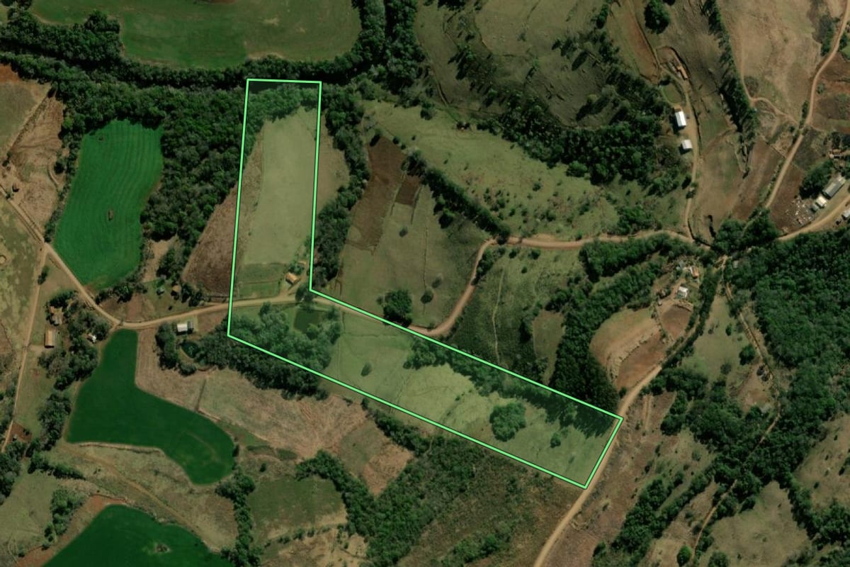 Imagem de satélite do imóvel rural em Bom Jesus do Sul (PR), com o contorno declarado no CAR desenhado por cima.