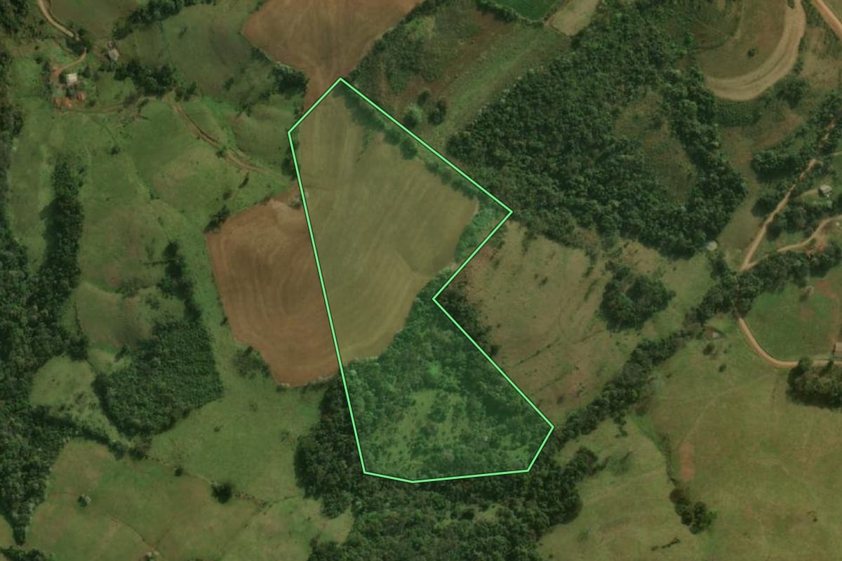 Imagem de satélite do imóvel rural em Bom Jesus do Sul (PR), com o contorno declarado no CAR desenhado por cima.
