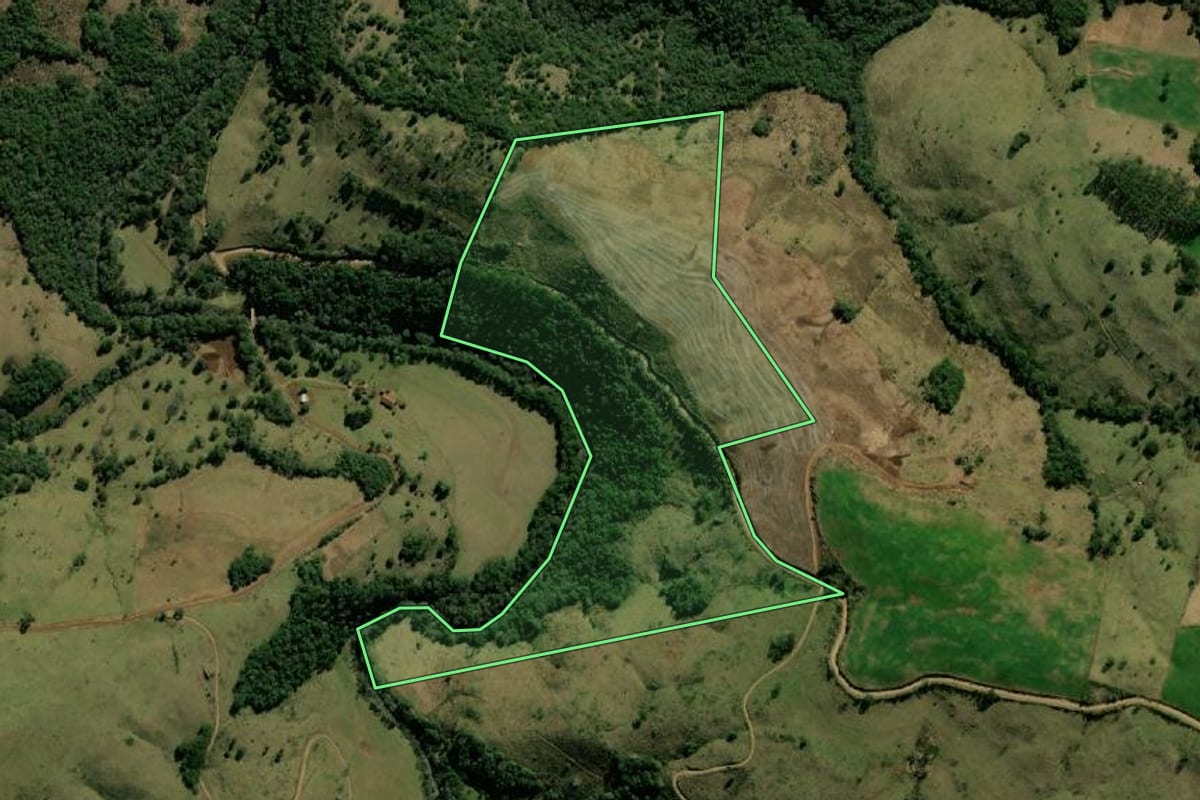 Imagem de satélite do imóvel rural em Bom Jesus do Sul (PR), com o contorno declarado no CAR desenhado por cima.