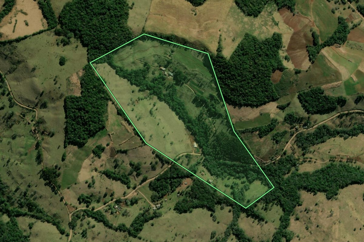 Imagem de satélite do imóvel rural em Bom Jesus do Sul (PR), com o contorno declarado no CAR desenhado por cima.