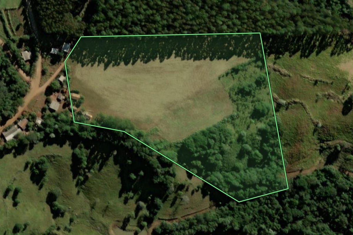 Imagem de satélite do imóvel rural em Bom Jesus do Sul (PR), com o contorno declarado no CAR desenhado por cima.