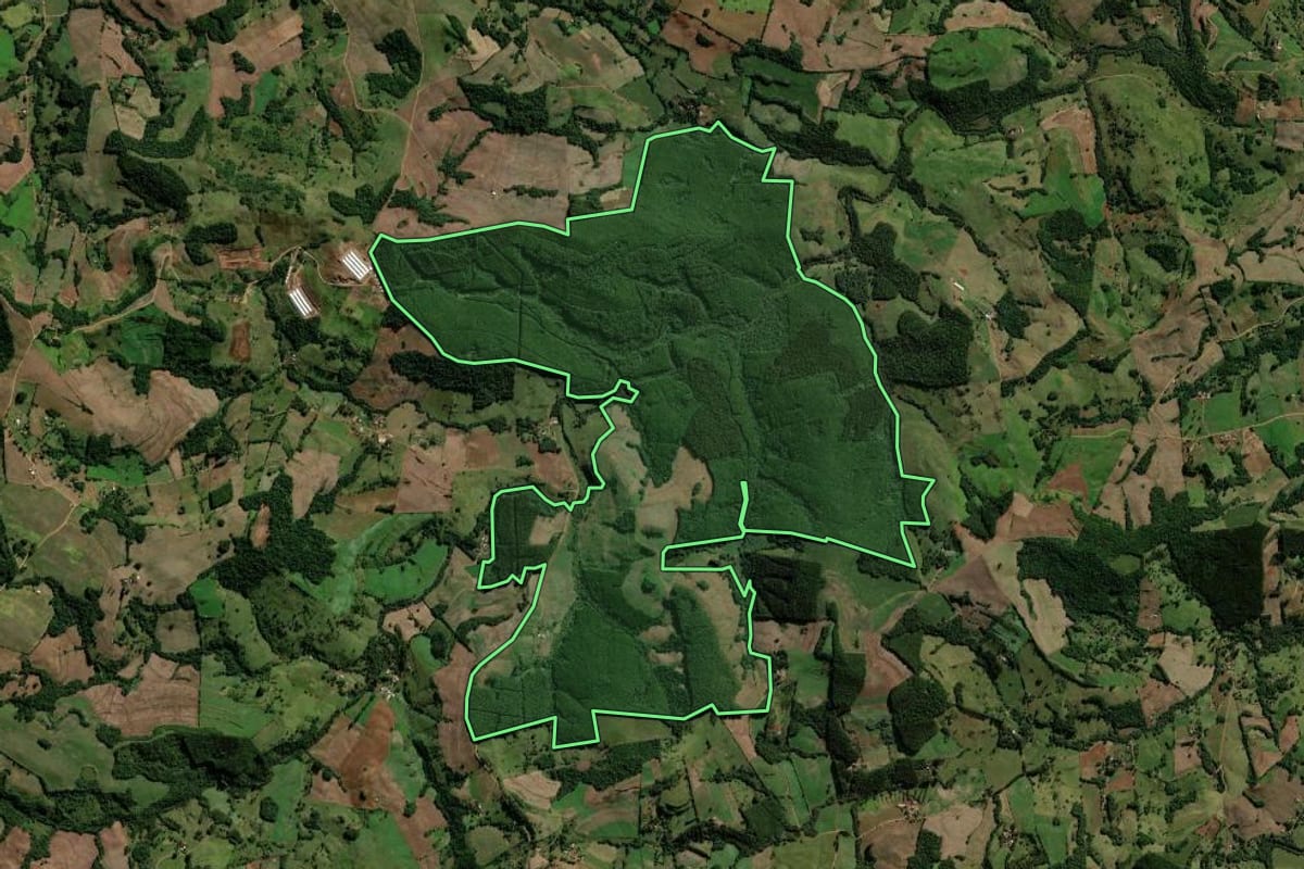 Imagem de satélite do imóvel rural em Bom Jesus do Sul (PR), com o contorno declarado no CAR desenhado por cima.