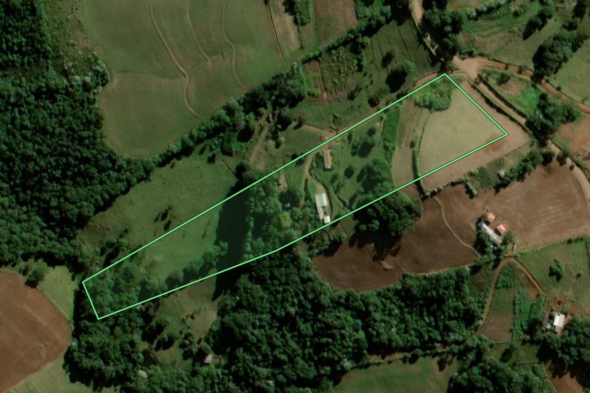 Imagem de satélite do imóvel rural em Bom Jesus do Sul (PR), com o contorno declarado no CAR desenhado por cima.