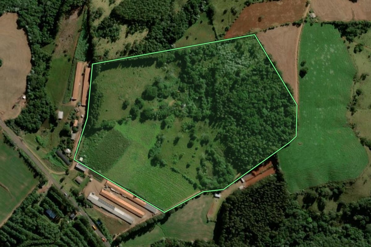 Imagem de satélite do imóvel rural em Bom Jesus do Sul (PR), com o contorno declarado no CAR desenhado por cima.