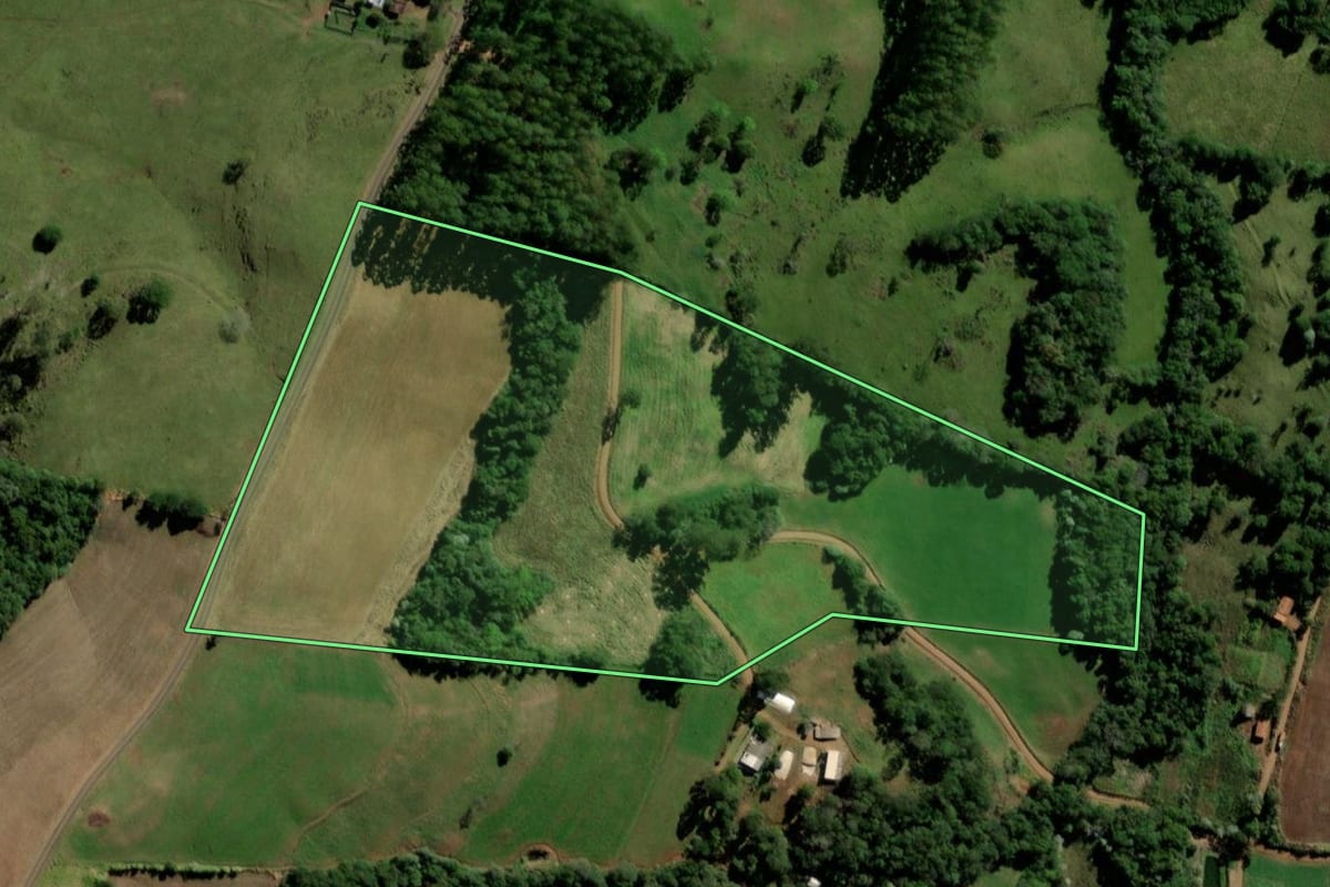 Imagem de satélite do imóvel rural em Bom Jesus do Sul (PR), com o contorno declarado no CAR desenhado por cima.