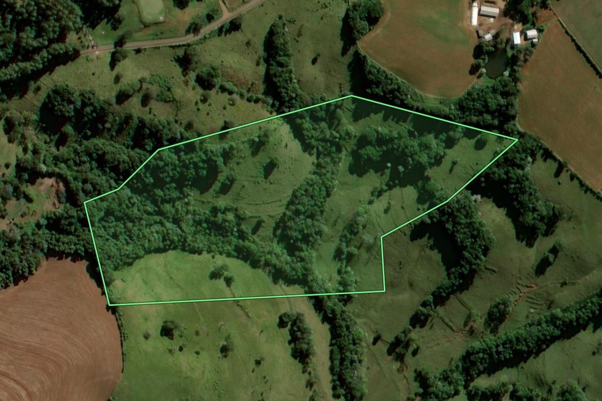 Imagem de satélite do imóvel rural em Bom Jesus do Sul (PR), com o contorno declarado no CAR desenhado por cima.