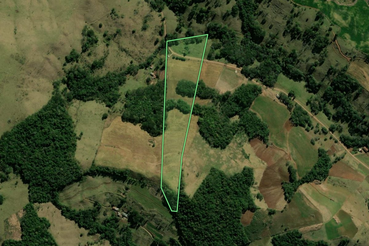 Imagem de satélite do imóvel rural em Bom Jesus do Sul (PR), com o contorno declarado no CAR desenhado por cima.