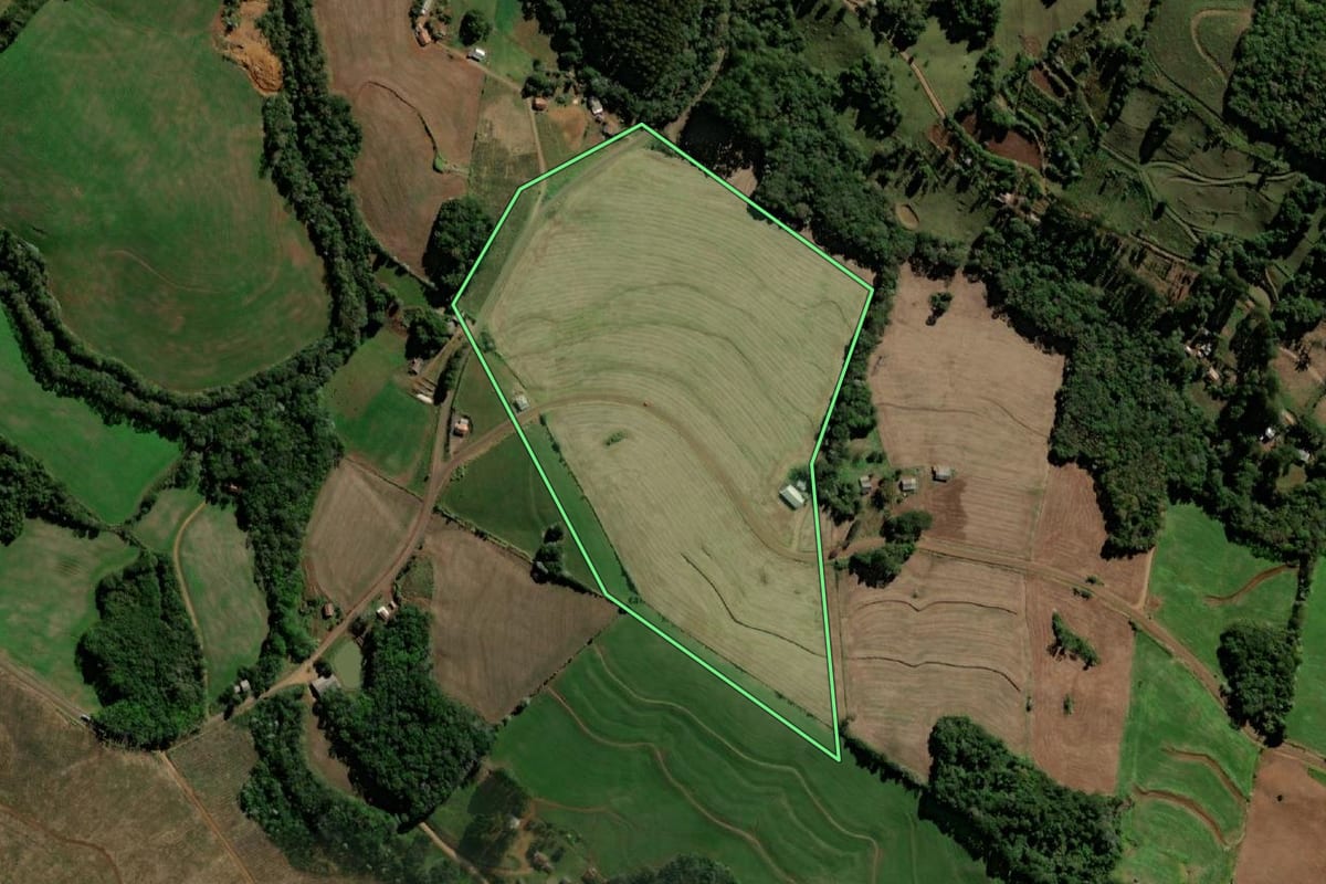 Imagem de satélite do imóvel rural em Bom Jesus do Sul (PR), com o contorno declarado no CAR desenhado por cima.