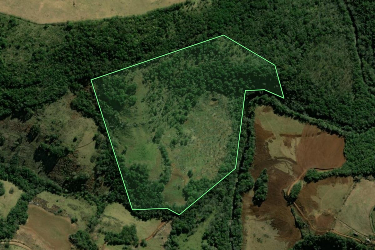 Imagem de satélite do imóvel rural em Bom Jesus do Sul (PR), com o contorno declarado no CAR desenhado por cima.