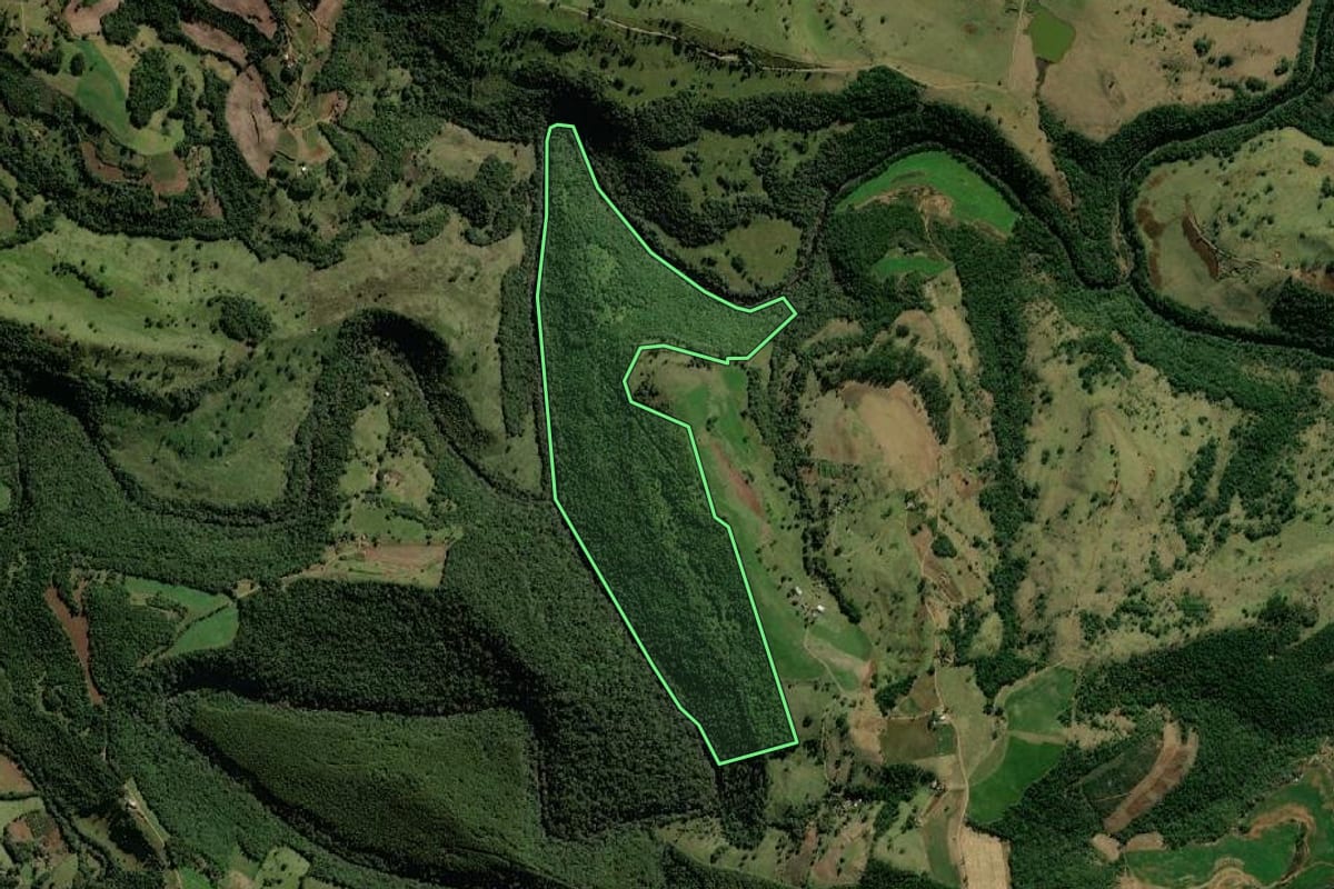Imagem de satélite do imóvel rural em Bom Jesus do Sul (PR), com o contorno declarado no CAR desenhado por cima.