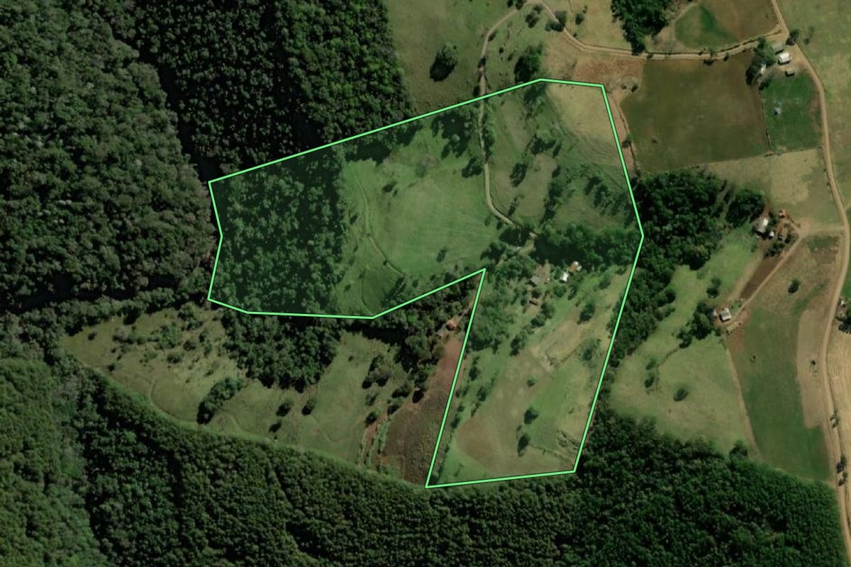 Imagem de satélite do imóvel rural em Bom Jesus do Sul (PR), com o contorno declarado no CAR desenhado por cima.