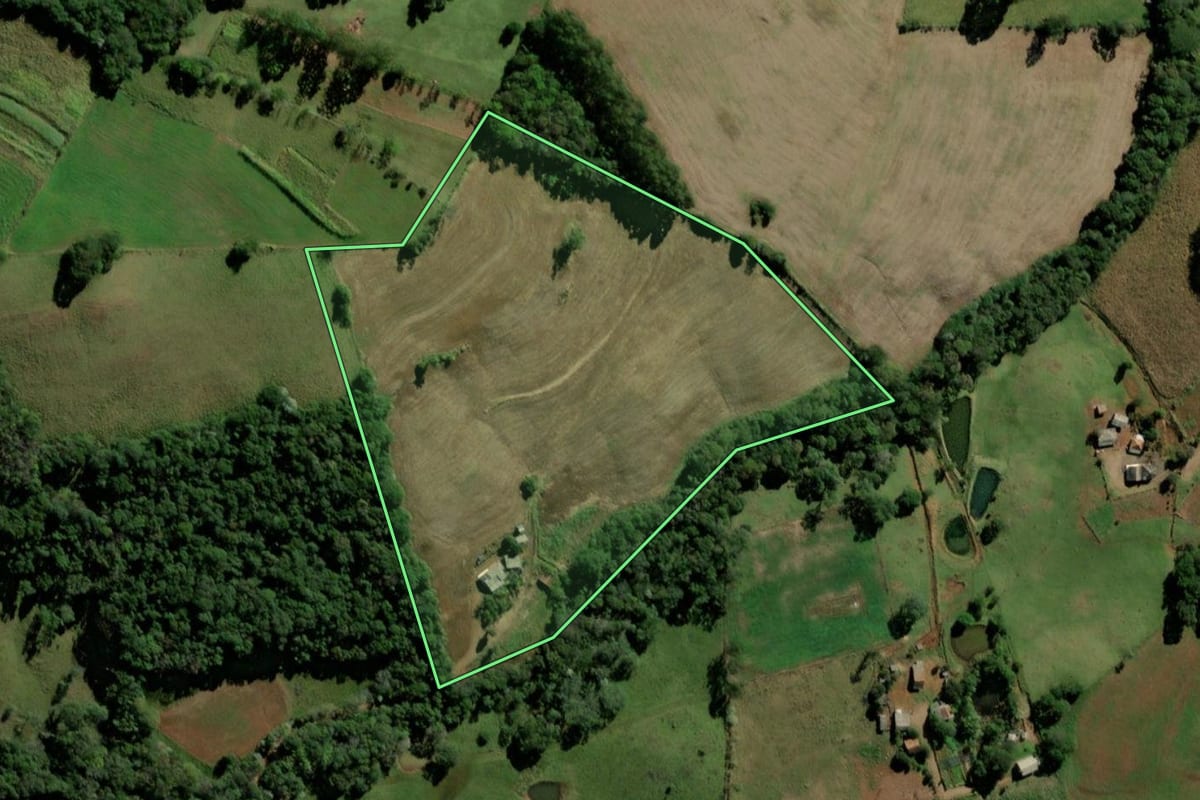 Imagem de satélite do imóvel rural em Bom Jesus do Sul (PR), com o contorno declarado no CAR desenhado por cima.