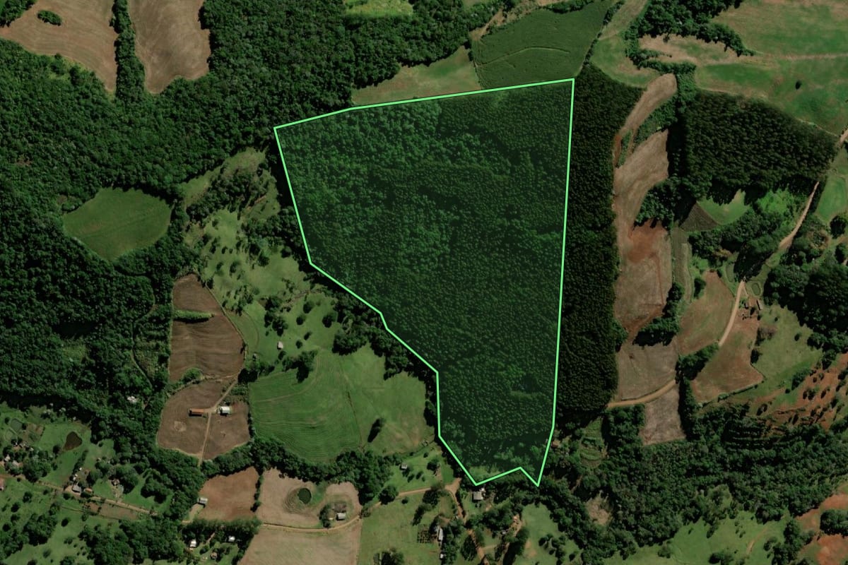 Imagem de satélite do imóvel rural em Bom Jesus do Sul (PR), com o contorno declarado no CAR desenhado por cima.