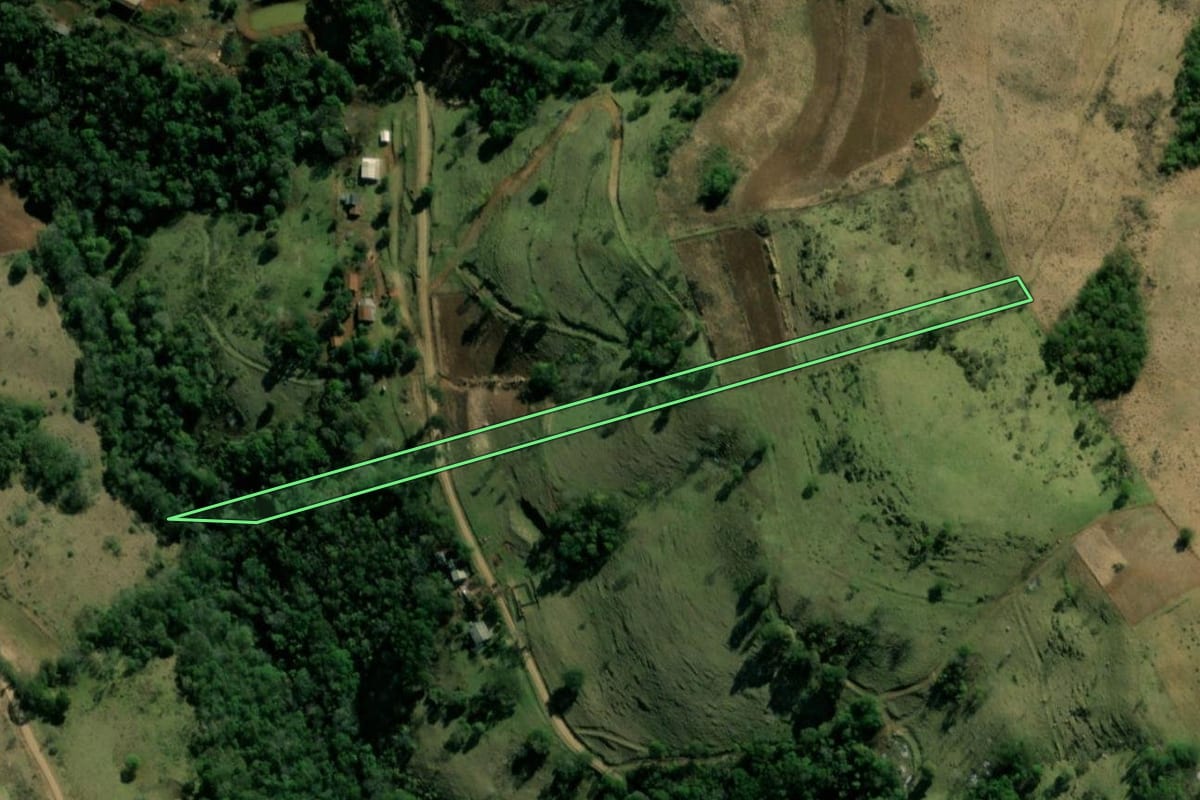 Imagem de satélite do imóvel rural em Bom Jesus do Sul (PR), com o contorno declarado no CAR desenhado por cima.