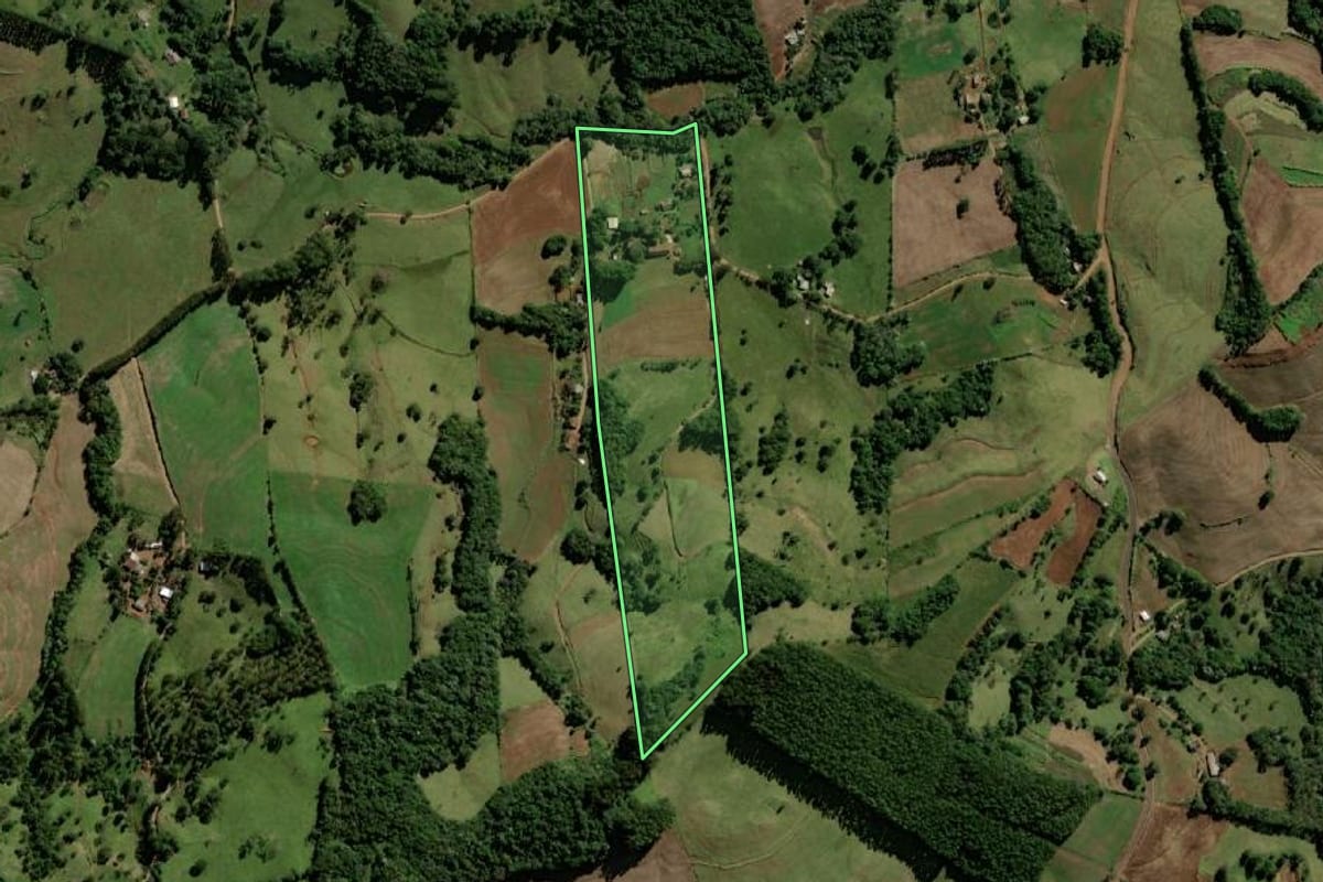 Imagem de satélite do imóvel rural em Bom Jesus do Sul (PR), com o contorno declarado no CAR desenhado por cima.