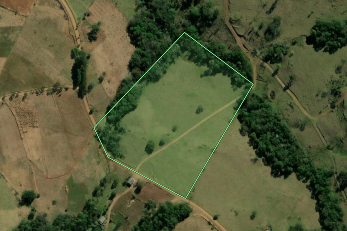 Imagem de satélite do imóvel rural em Bom Jesus do Sul (PR), com o contorno declarado no CAR desenhado por cima.