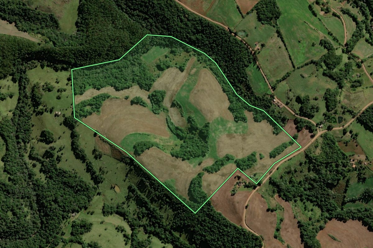 Imagem de satélite do imóvel rural em Bom Jesus do Sul (PR), com o contorno declarado no CAR desenhado por cima.