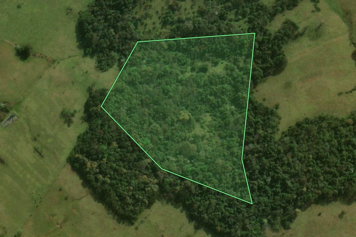 Imagem de satélite do imóvel rural em Bom Jesus do Sul (PR), com o contorno declarado no CAR desenhado por cima.