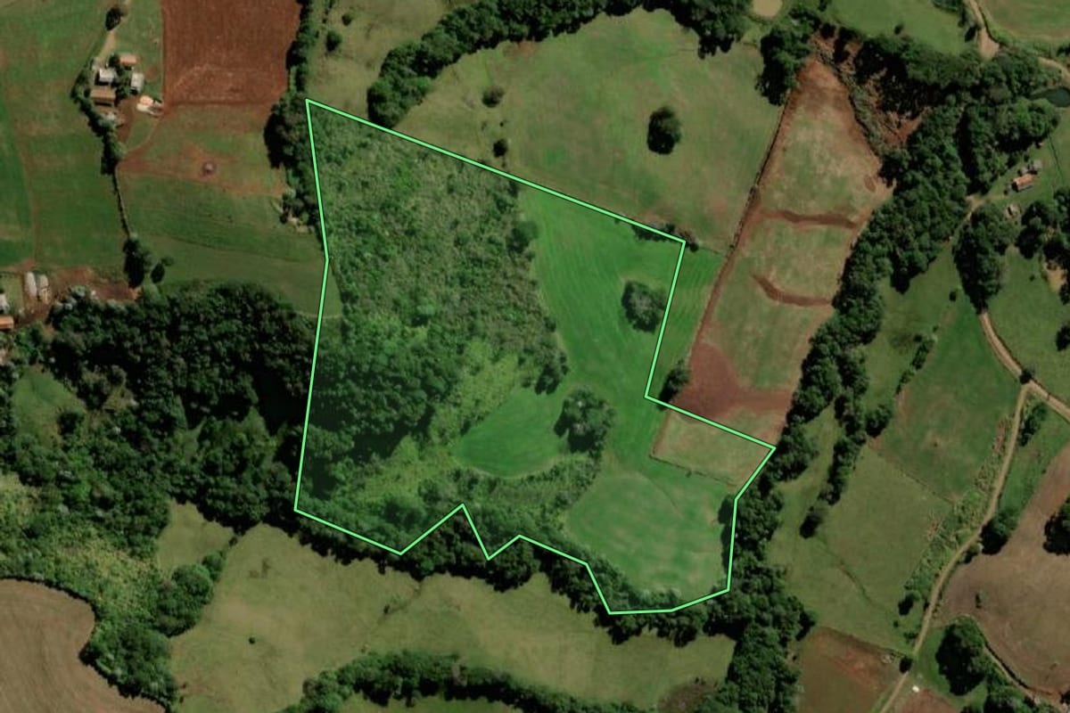 Imagem de satélite do imóvel rural em Bom Jesus do Sul (PR), com o contorno declarado no CAR desenhado por cima.