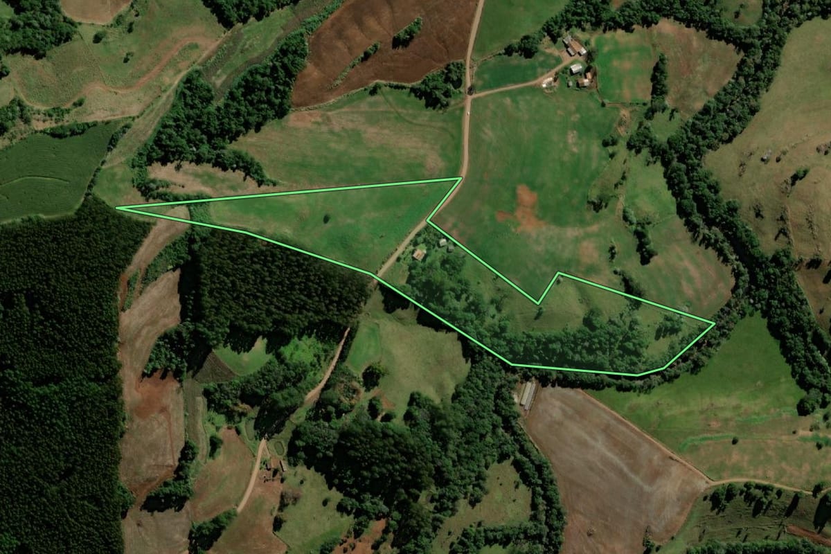 Imagem de satélite do imóvel rural em Bom Jesus do Sul (PR), com o contorno declarado no CAR desenhado por cima.