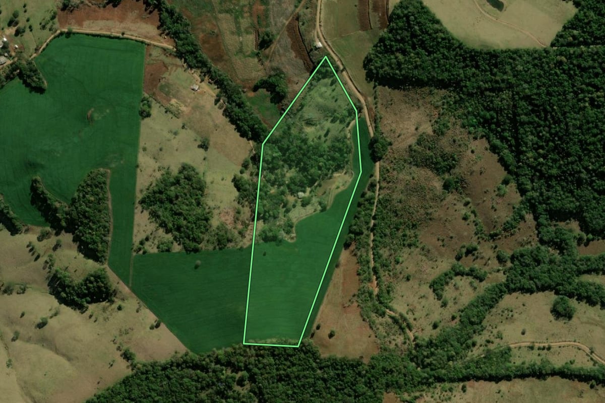 Imagem de satélite do imóvel rural em Bom Jesus do Sul (PR), com o contorno declarado no CAR desenhado por cima.