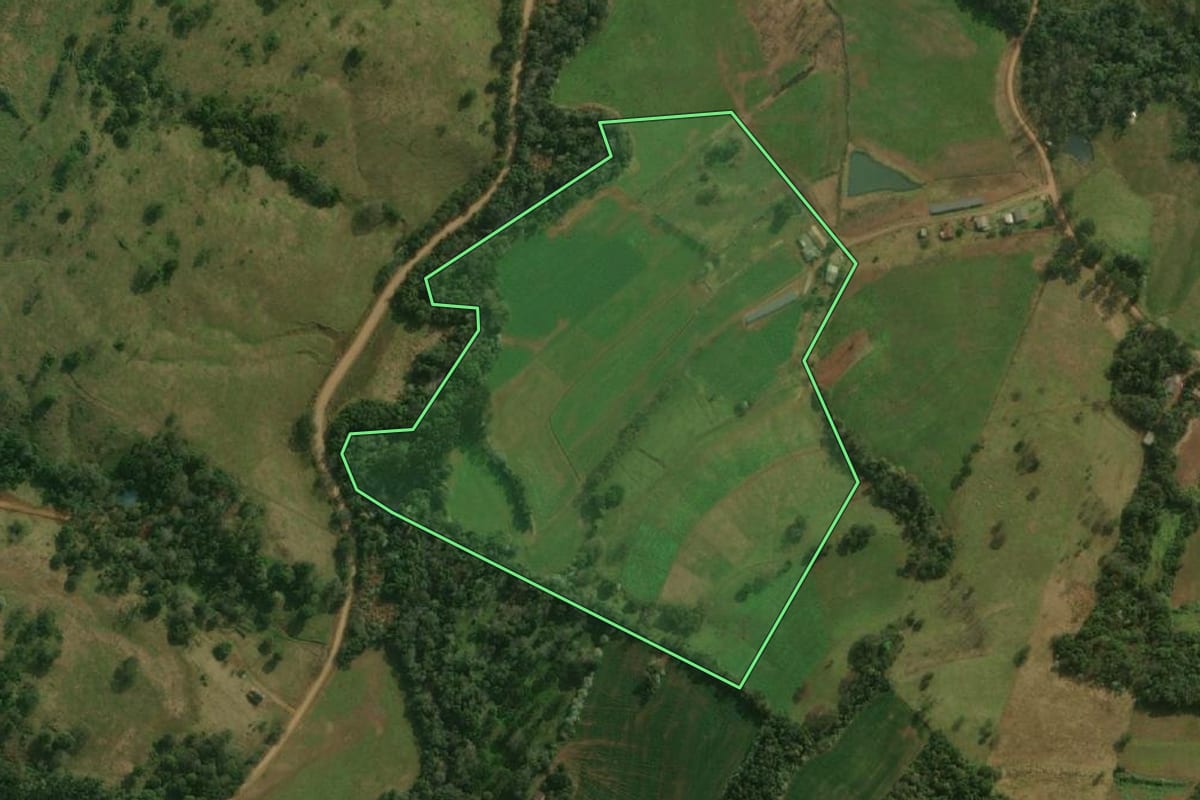 Imagem de satélite do imóvel rural em Bom Jesus do Sul (PR), com o contorno declarado no CAR desenhado por cima.