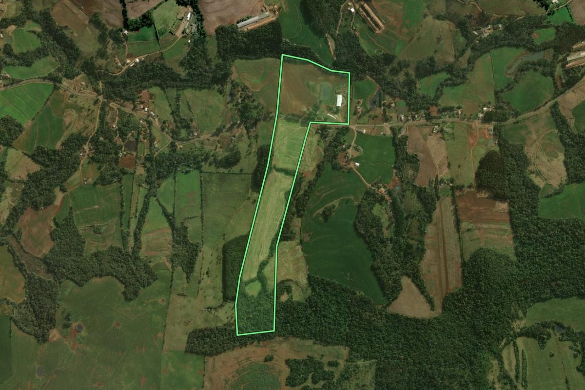 Imagem de satélite do imóvel rural em Bom Jesus do Sul (PR), com o contorno declarado no CAR desenhado por cima.