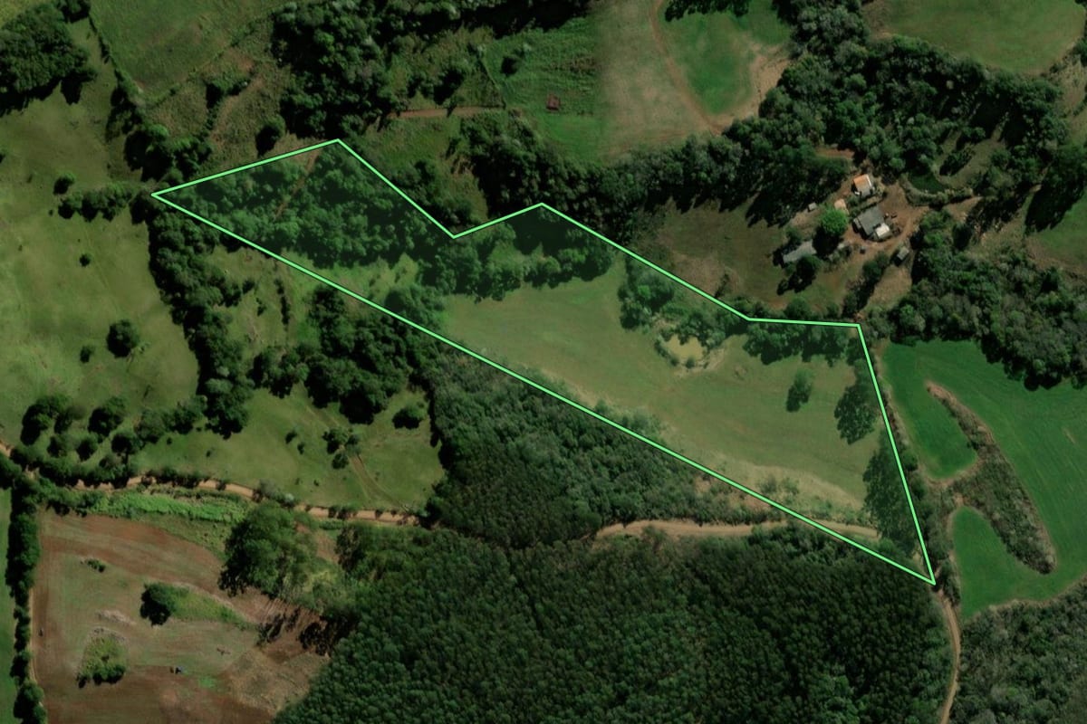 Imagem de satélite do imóvel rural em Bom Jesus do Sul (PR), com o contorno declarado no CAR desenhado por cima.