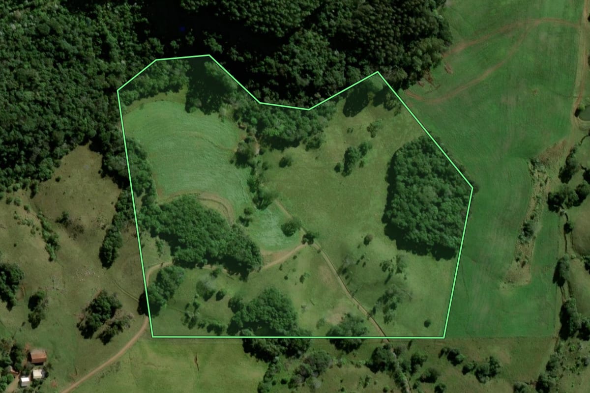 Imagem de satélite do imóvel rural em Bom Jesus do Sul (PR), com o contorno declarado no CAR desenhado por cima.