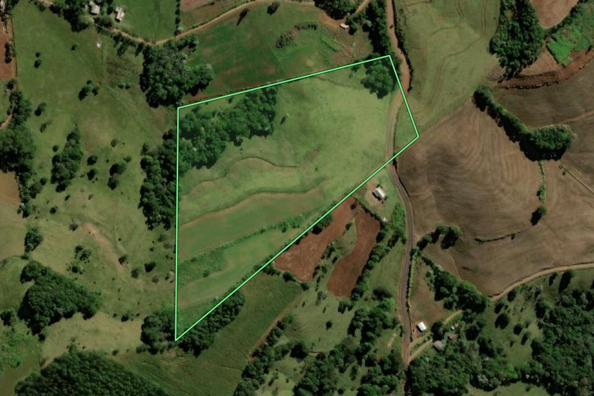 Imagem de satélite do imóvel rural em Bom Jesus do Sul (PR), com o contorno declarado no CAR desenhado por cima.