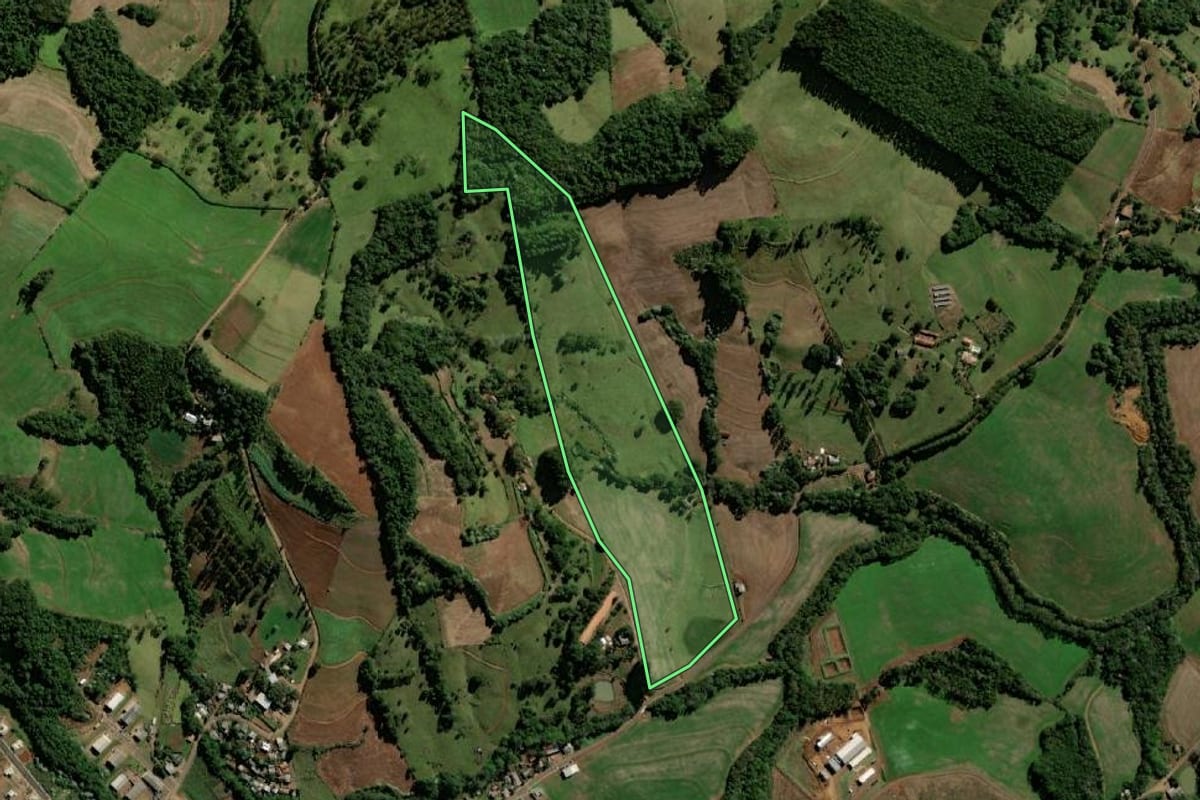 Imagem de satélite do imóvel rural em Bom Jesus do Sul (PR), com o contorno declarado no CAR desenhado por cima.