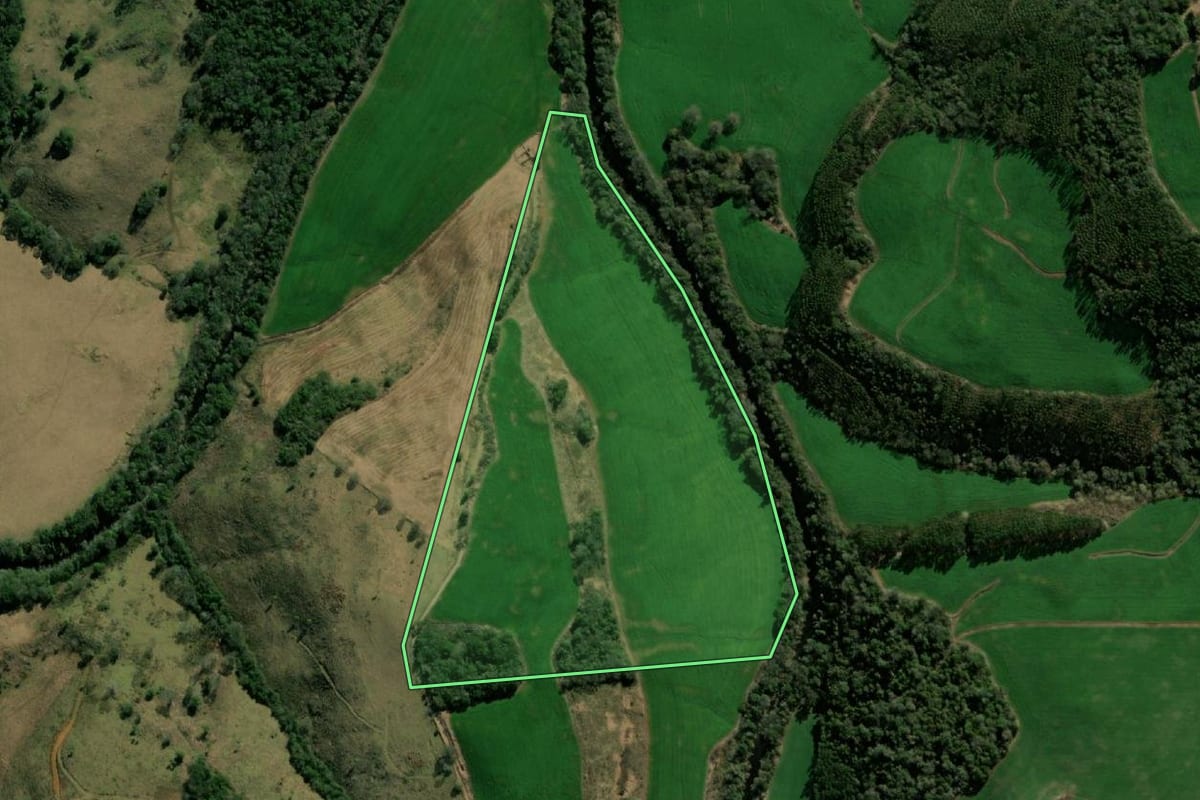 Imagem de satélite do imóvel rural em Bom Jesus do Sul (PR), com o contorno declarado no CAR desenhado por cima.