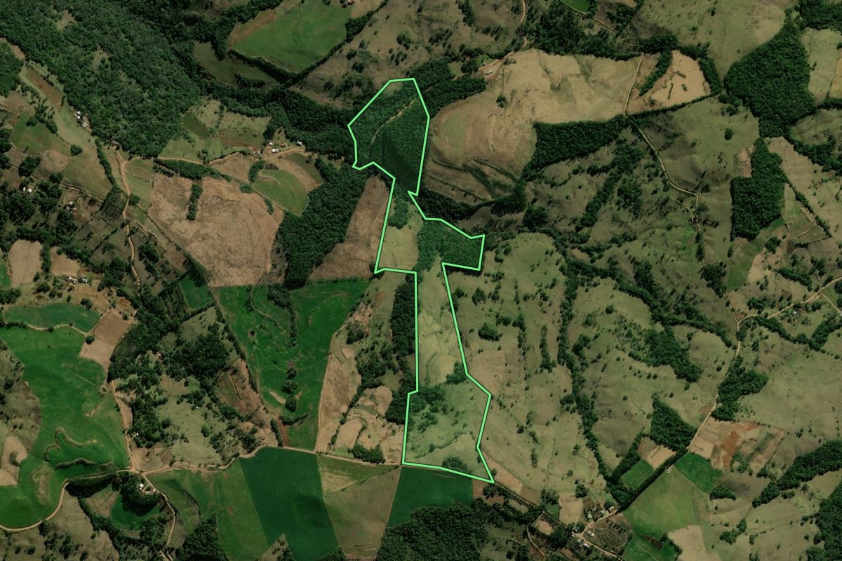 Imagem de satélite do imóvel rural em Bom Jesus do Sul (PR), com o contorno declarado no CAR desenhado por cima.
