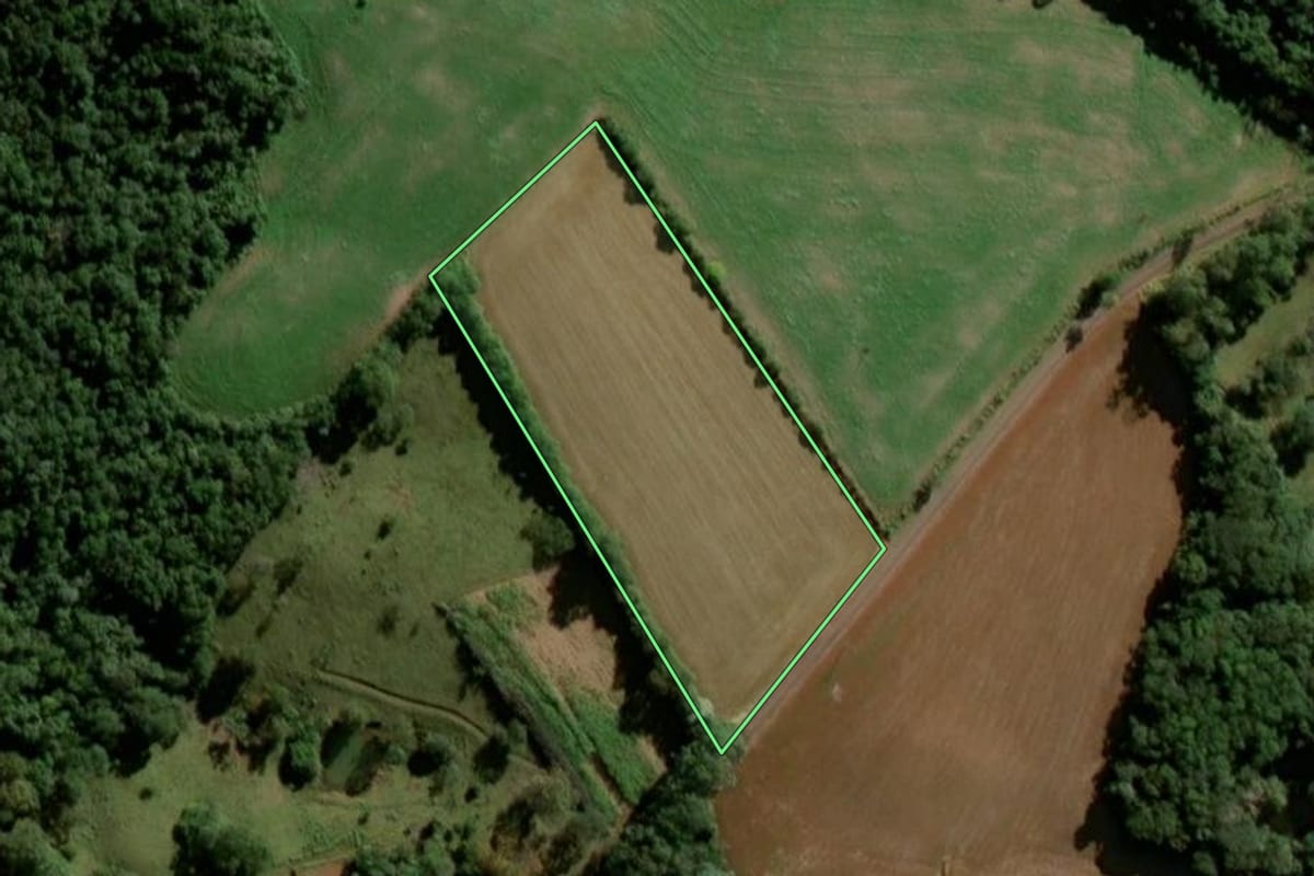 Imagem de satélite do imóvel rural em Bom Jesus do Sul (PR), com o contorno declarado no CAR desenhado por cima.