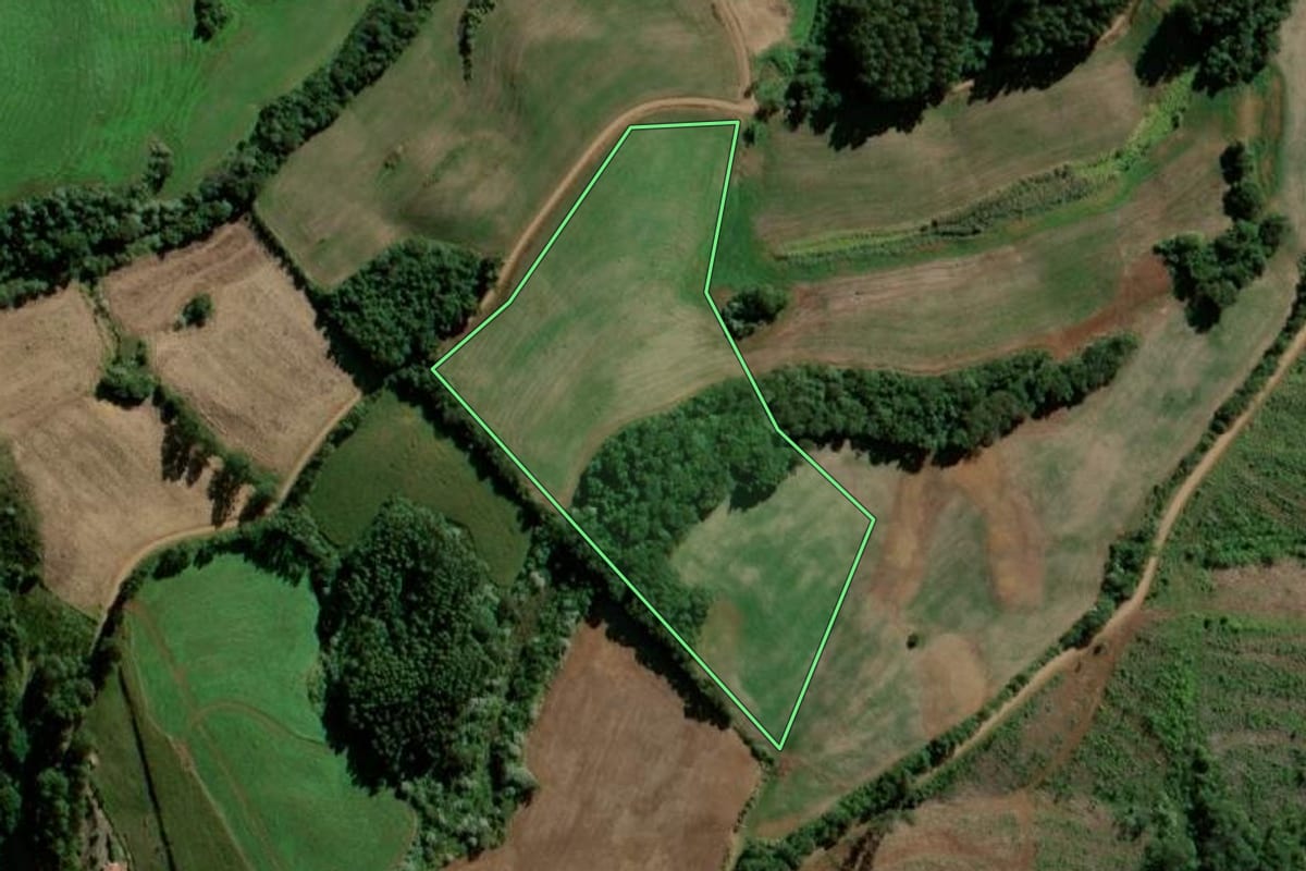 Imagem de satélite do imóvel rural em Bom Jesus do Sul (PR), com o contorno declarado no CAR desenhado por cima.