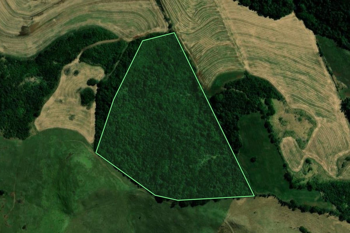 Imagem de satélite do imóvel rural em Bom Sucesso (PR), com o contorno declarado no CAR desenhado por cima.