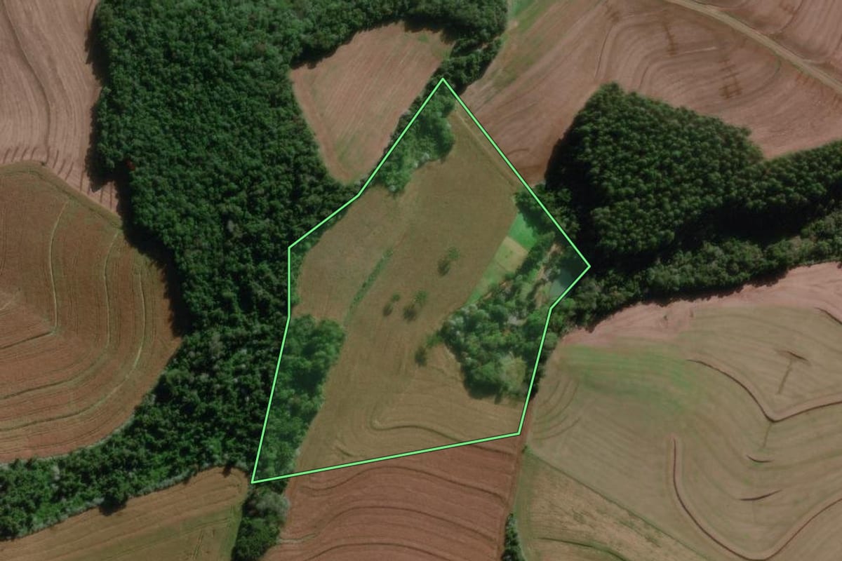 Imagem de satélite do imóvel rural em Bom Sucesso do Sul (PR), com o contorno declarado no CAR desenhado por cima.