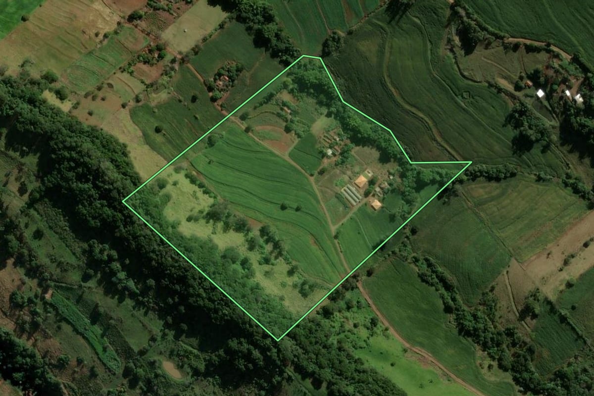 Imagem de satélite do imóvel rural em Borrazópolis (PR), com o contorno declarado no CAR desenhado por cima.