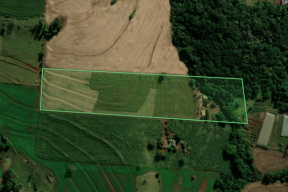 Imagem de satélite do imóvel rural em Borrazópolis (PR), com o contorno declarado no CAR desenhado por cima.