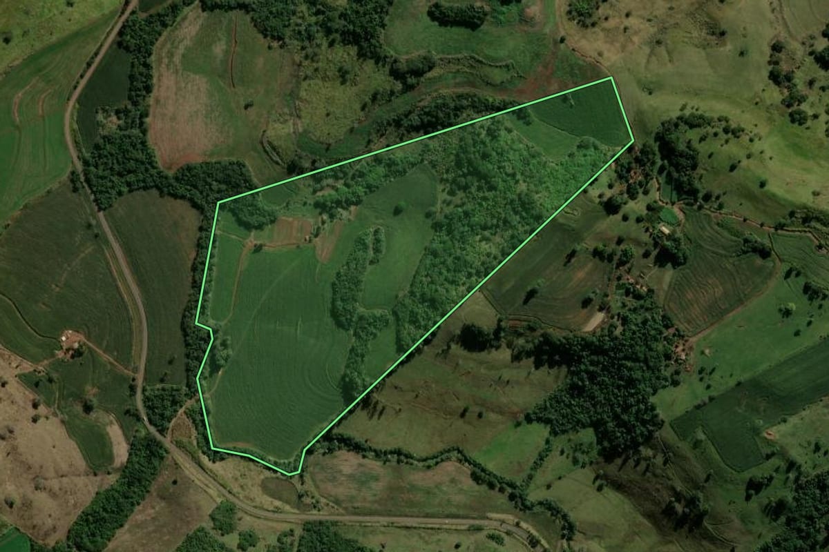 Imagem de satélite do imóvel rural em Borrazópolis (PR), com o contorno declarado no CAR desenhado por cima.