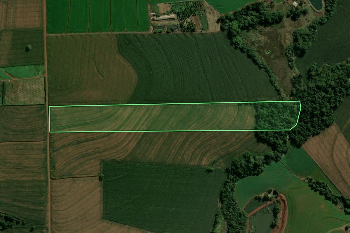 Imagem de satélite do imóvel rural em Borrazópolis (PR), com o contorno declarado no CAR desenhado por cima.