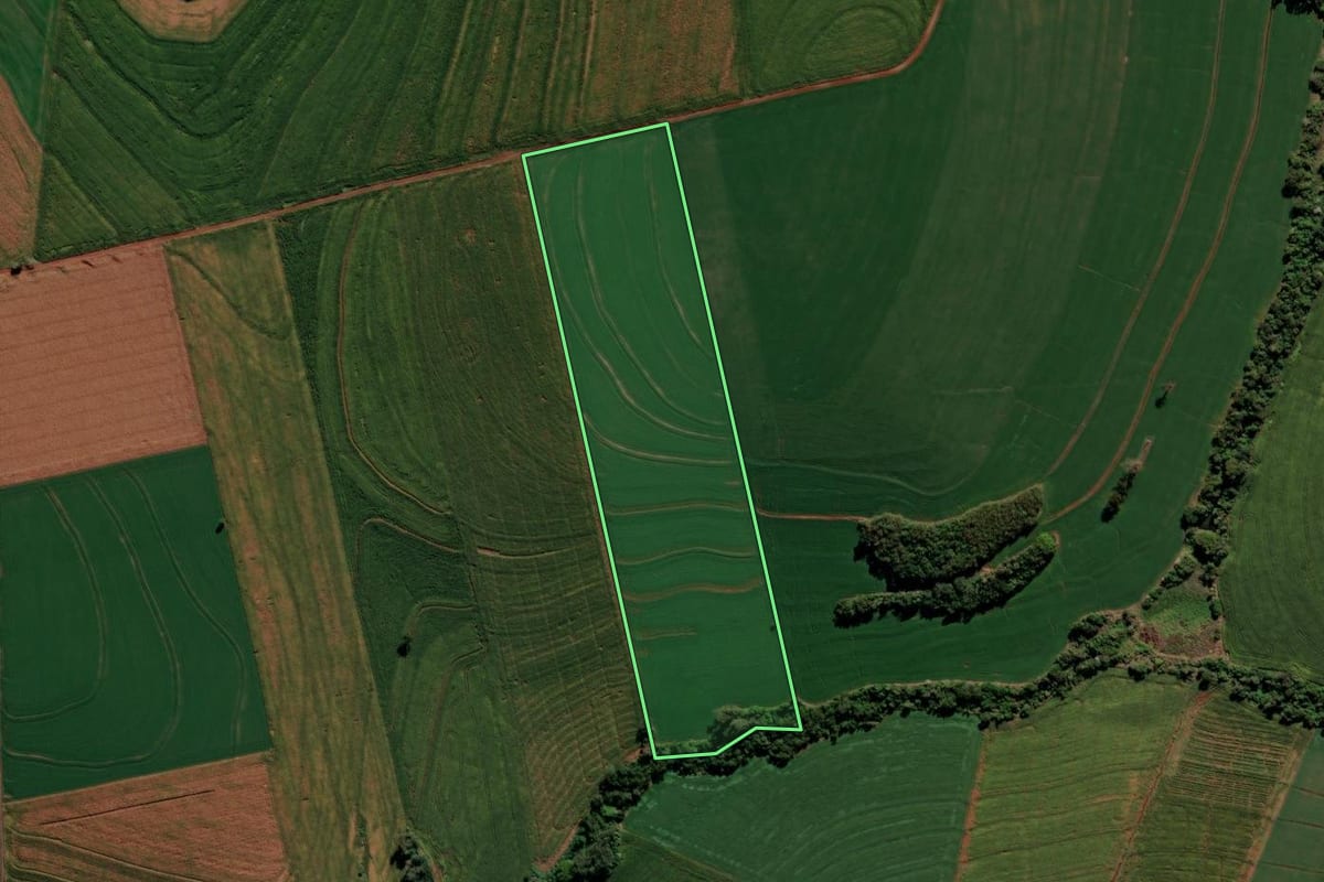 Imagem de satélite do imóvel rural em Borrazópolis (PR), com o contorno declarado no CAR desenhado por cima.