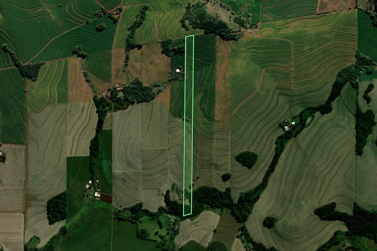 Imagem de satélite do imóvel rural em Borrazópolis (PR), com o contorno declarado no CAR desenhado por cima.