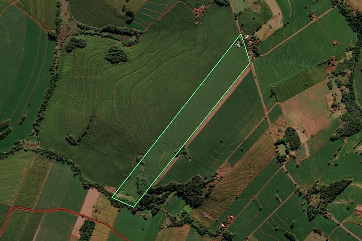 Imagem de satélite do imóvel rural em Borrazópolis (PR), com o contorno declarado no CAR desenhado por cima.